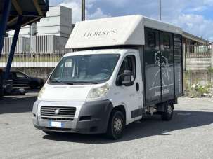 FIAT Ducato Diesel 2009 usata, Sondrio