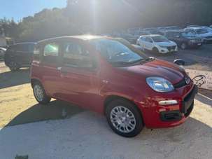 FIAT Panda Elettrica/Benzina usata, Caserta