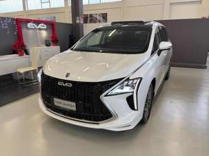 EVO Evo Spazio Benzina/GPL usata, Catania