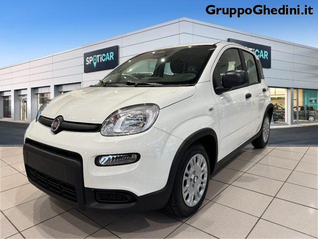 FIAT Panda Elettrica/Benzina 2024 usata, Bologna foto
