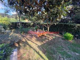 Venta Multivani, Livorno Venta Multivani, Livorno