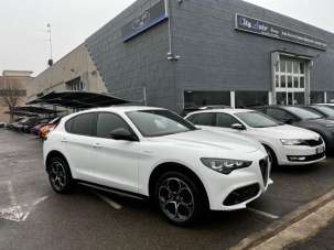 ALFA ROMEO Stelvio Diesel 2024 usata