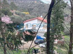 Vendita Multivani, Follo