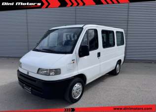 FIAT Ducato Diesel 1996 usata, Pesaro e Urbino