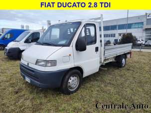 FIAT Ducato Diesel 2000 usata, Vicenza