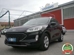 FORD Kuga Diesel 2020 usata, Cuneo