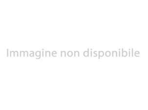 PEUGEOT 208 Elettrica 2021 usata, Reggio di Calabria