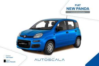 FIAT New Panda Elettrica/Benzina usata, Napoli