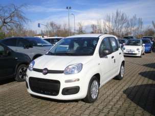 FIAT Panda Elettrica/Benzina 2025 usata, Treviso