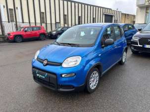 FIAT Panda Elettrica/Benzina 2024 usata, Firenze