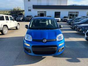 FIAT Panda Elettrica/Benzina 2025 usata, Caserta