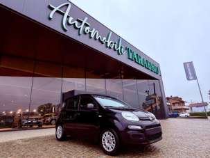 FIAT New Panda Benzina/GPL 2020 usata, Asti