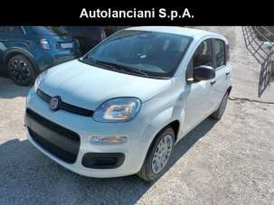 FIAT Panda Elettrica/Benzina 2025 usata, Roma