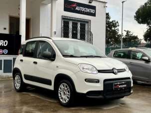 FIAT Panda Elettrica/Benzina 2024 usata, Roma