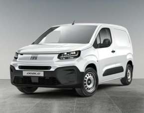 FIAT Doblo Benzina 2026 usata, Monza e Brianza