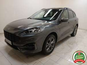 FORD Kuga Elettrica/Benzina 2024 usata, Cuneo
