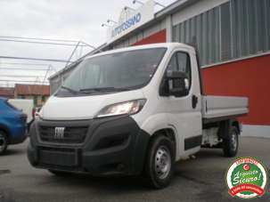 FIAT Ducato Diesel 2023 usata, Cuneo