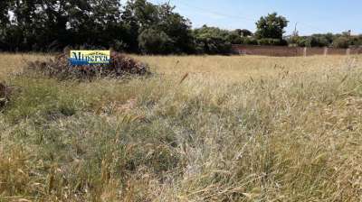 Vendita Terreno, Anzio