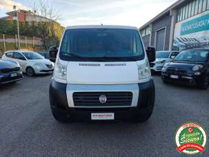 FIAT Ducato Diesel 2009 usata, Benevento
