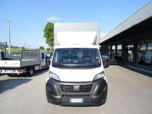 FIAT Ducato Diesel 2024 usata, Treviso
