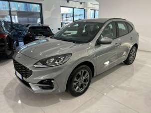FORD Kuga Elettrica/Benzina 2023 usata, Treviso