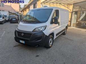 FIAT Ducato Diesel 2020 usata, Torino