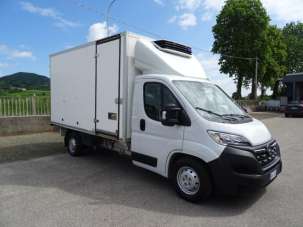 OPEL Movano Diesel 2023 usata, Treviso