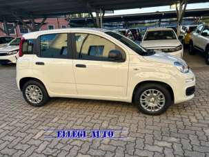 FIAT Panda Elettrica/Benzina usata, Italia
