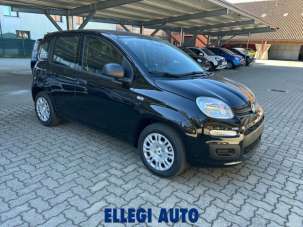 FIAT Panda Elettrica/Benzina usata, Italia