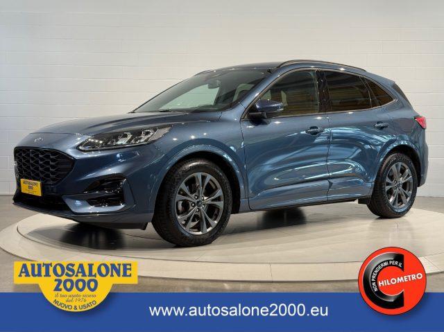 FORD Kuga Diesel 2023 usata, Treviso foto