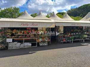Vendita Monovano, Carrara