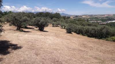 Vendita Terreno, Manoppello