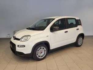 FIAT Panda Elettrica/Benzina 2024 usata, Mantova