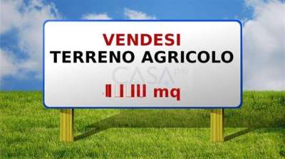 Vendita Terreno, Monsampolo del Tronto