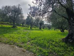 Vendita Altri immobili, Pontassieve