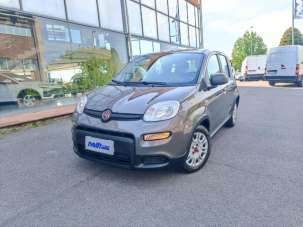 FIAT Panda Elettrica/Benzina 2023 usata, Pisa FIAT Panda Elettrica/Benzina 2023 usata, Pisa