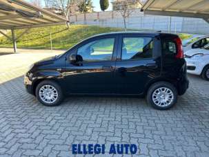 FIAT Panda Elettrica/Benzina usata, Italia FIAT Panda Elettrica/Benzina usata, Italia